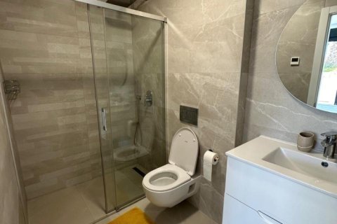 3 chambres Penthouse à Long Dinh, Vietnam No. 83854 16