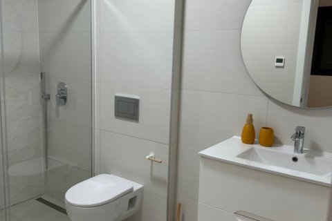 3 chambres Penthouse à Long Dinh, Vietnam No. 83854 12