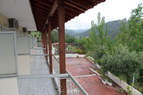 50 rooms Hotel in Chalkidiki, Greece No. 60414 12