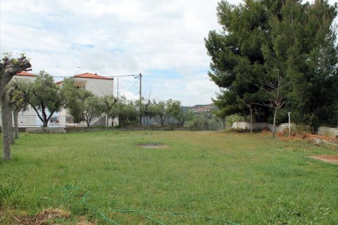 50 rooms Hotel in Chalkidiki, Greece No. 60414 21