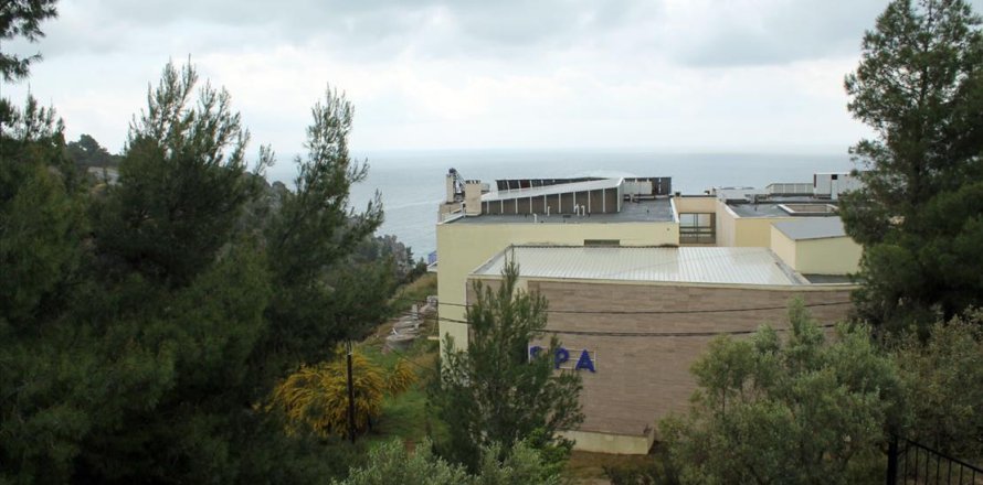 50 rooms Hotel in Chalkidiki, Greece No. 60414