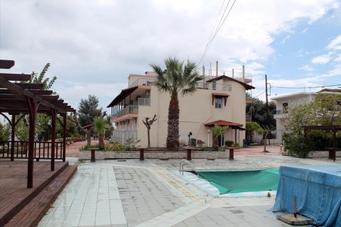 50 rooms Hotel in Chalkidiki, Greece No. 60414 20