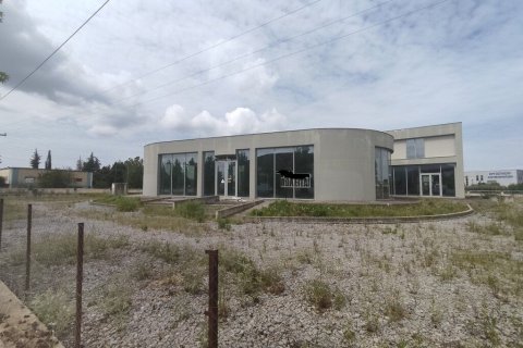 4100m² Commercial property in Thermi, Greece No. 55485 5