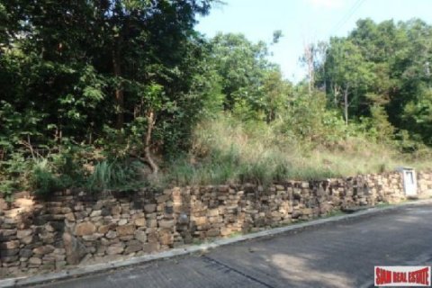 1300m² Land in Surat Thani, Thailand No. 95926 7