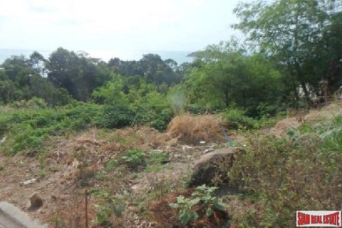 1300m² Land in Surat Thani, Thailand No. 95926 2