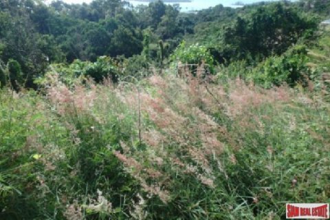1300m² Land in Surat Thani, Thailand No. 95926 5