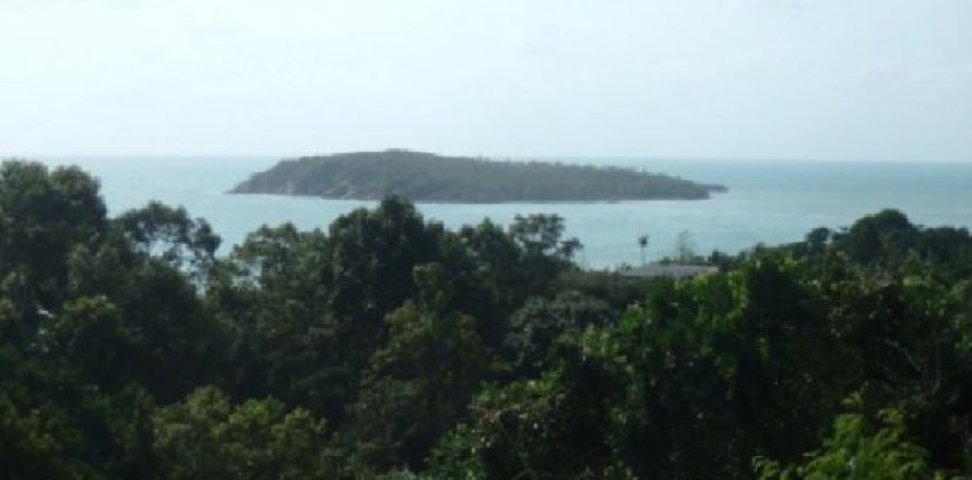 1300m² Land in Surat Thani, Thailand No. 95926