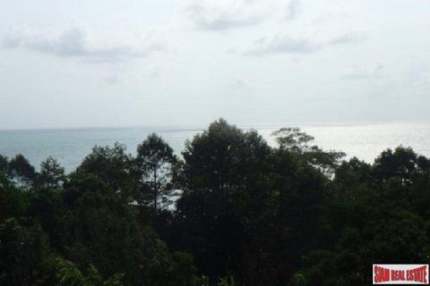 1300m² Land in Surat Thani, Thailand No. 95926 3