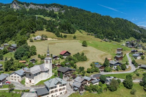 3 bedrooms Apartment in Praz-sur-Arly, France No. 100089 2