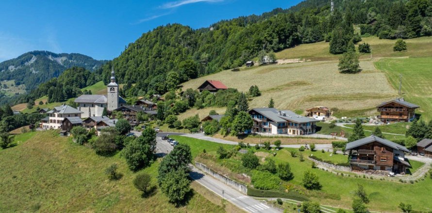 3 bedrooms Apartment in Praz-sur-Arly, France No. 100089