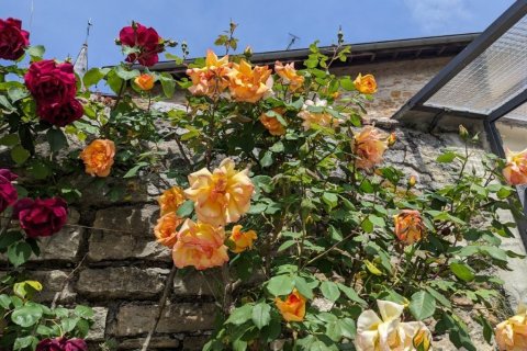 6 bedrooms House in Cuiseaux, France No. 104705 21