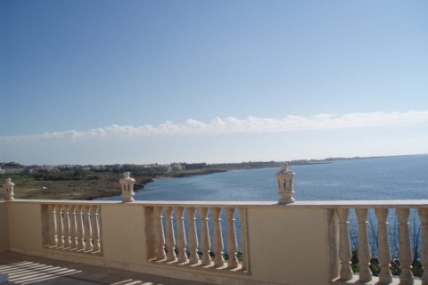 8 dormitorios House en Paphos, Cyprus No. 99833 3