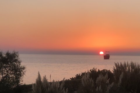 8 dormitorios House en Paphos, Cyprus No. 99833 8