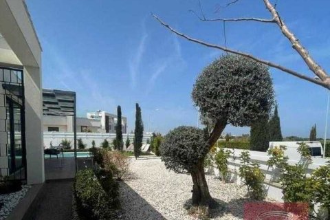 3 bedrooms Villa in Pernera, Cyprus No. 29017 7