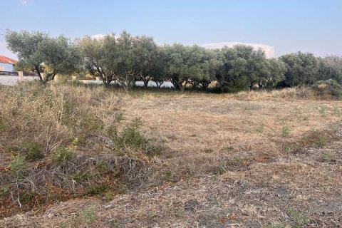 Land in Zakynthos, Greece No. 69499 4