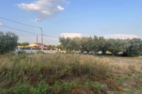 Land in Zakynthos, Greece No. 69499 13