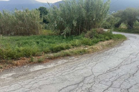 Land in Zakynthos, Greece No. 69499 3