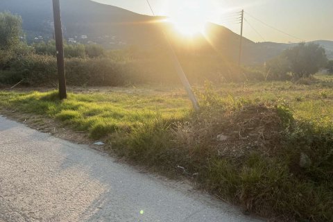 Land in Zakynthos, Greece No. 69499 11