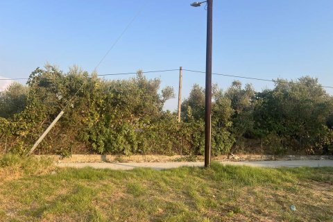 Land in Zakynthos, Greece No. 69499 16