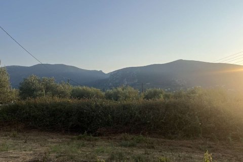 Land in Zakynthos, Greece No. 69499 5