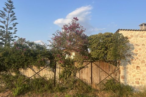 Land in Zakynthos, Greece No. 69499 18