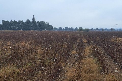 12500m² Land à Thermi, Greece No. 54751 3