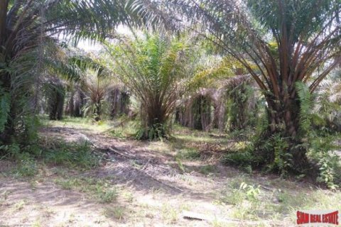 62400m² Land en Phang Nga, Thailand No. 95985 4