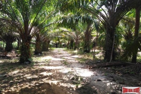 62400m² Land en Phang Nga, Thailand No. 95985 5