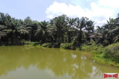 62400m² Land en Phang Nga, Thailand No. 95985 1