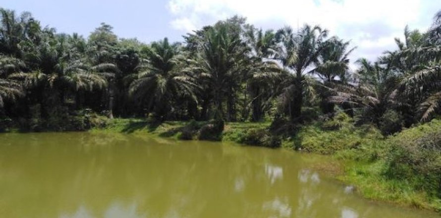 62400m² Land en Phang Nga, Thailand No. 95985