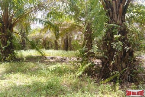 62400m² Land en Phang Nga, Thailand No. 95985 3