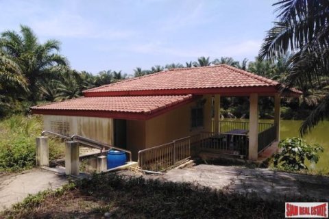 62400m² Land en Phang Nga, Thailand No. 95985 6