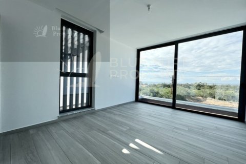 5 bedrooms Villa in Ayia Napa, Cyprus No. 36549 12