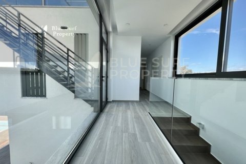 5 bedrooms Villa in Ayia Napa, Cyprus No. 36549 11