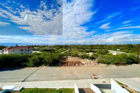 5 bedrooms Villa in Ayia Napa, Cyprus No. 36549 19