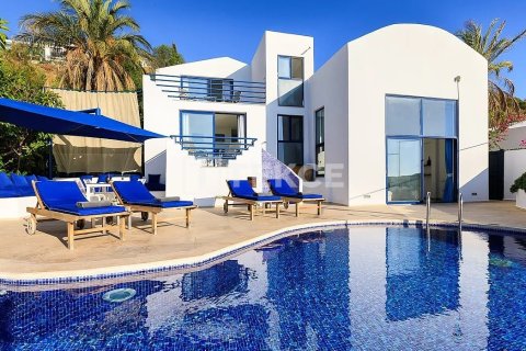 2 chambres Villa à Kas, Turkey No. 125638