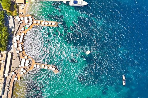 2 bedrooms Villa in Phi Dien, Vietnam No. 65271 17