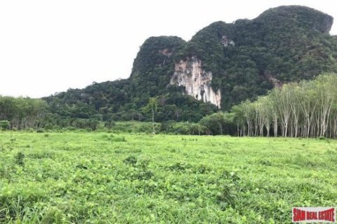 26809600m² Land in Krabi, Thailand No. 96927 6