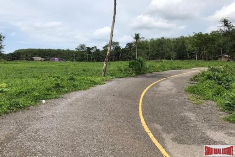 26809600m² Land in Krabi, Thailand No. 96927 2