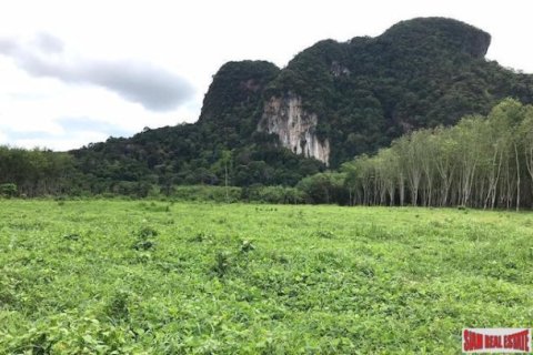 26809600m² Land in Krabi, Thailand No. 96927 1
