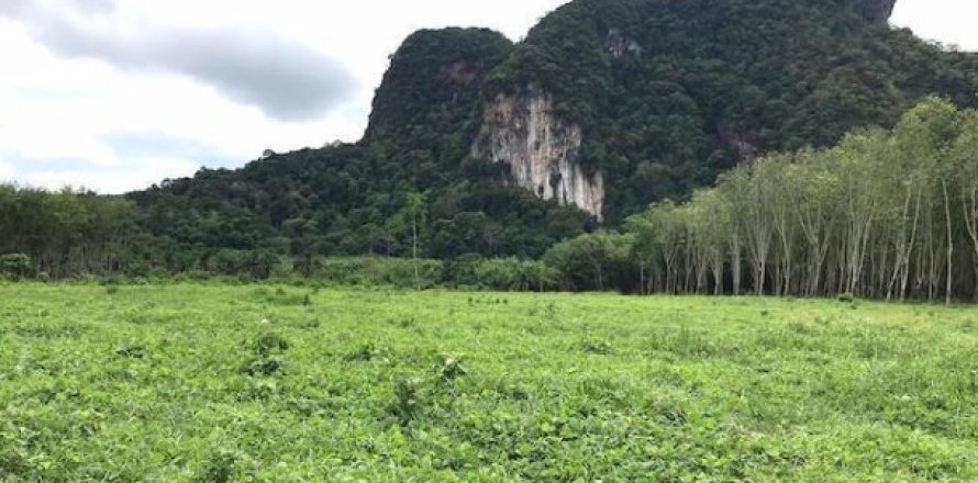 26809600m² Land in Krabi, Thailand No. 96927