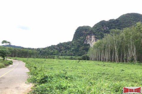 26809600m² Land in Krabi, Thailand No. 96927 3