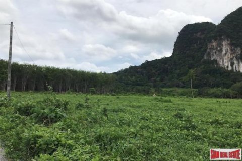 26809600m² Land in Krabi, Thailand No. 96927 5
