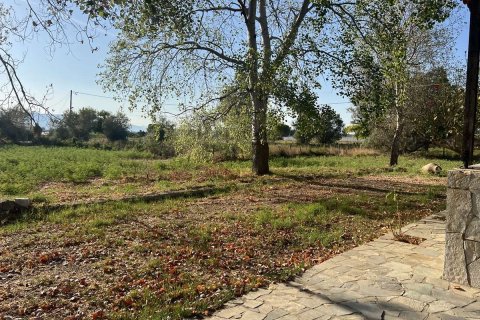 4 dormitorios House en Zakynthos, Greece No. 69528 13