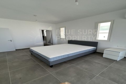 4 bedrooms Villa in Protaras, Cyprus No. 104854 12