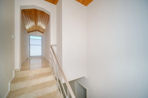 3 dormitorios Villa en Lien Chieu, Vietnam No. 15421 16