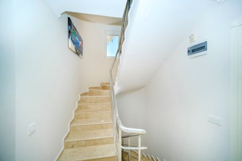 3 dormitorios Villa en Lien Chieu, Vietnam No. 15421 3