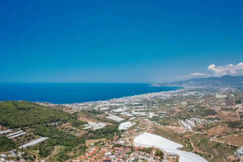 3 dormitorios Villa en Lien Chieu, Vietnam No. 15421 11