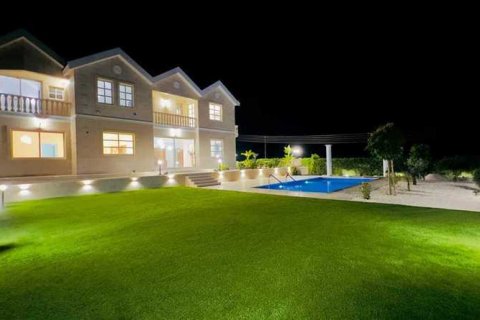 5 bedrooms Villa in Palodeia, Cyprus No. 31602 12