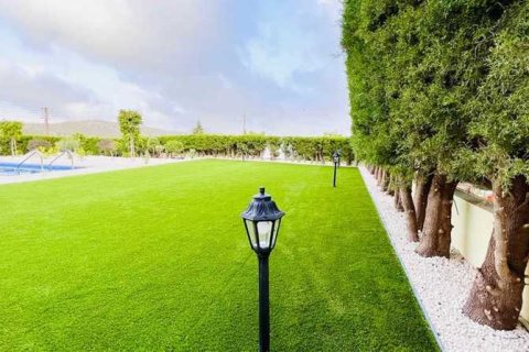 5 bedrooms Villa in Palodeia, Cyprus No. 31602 7